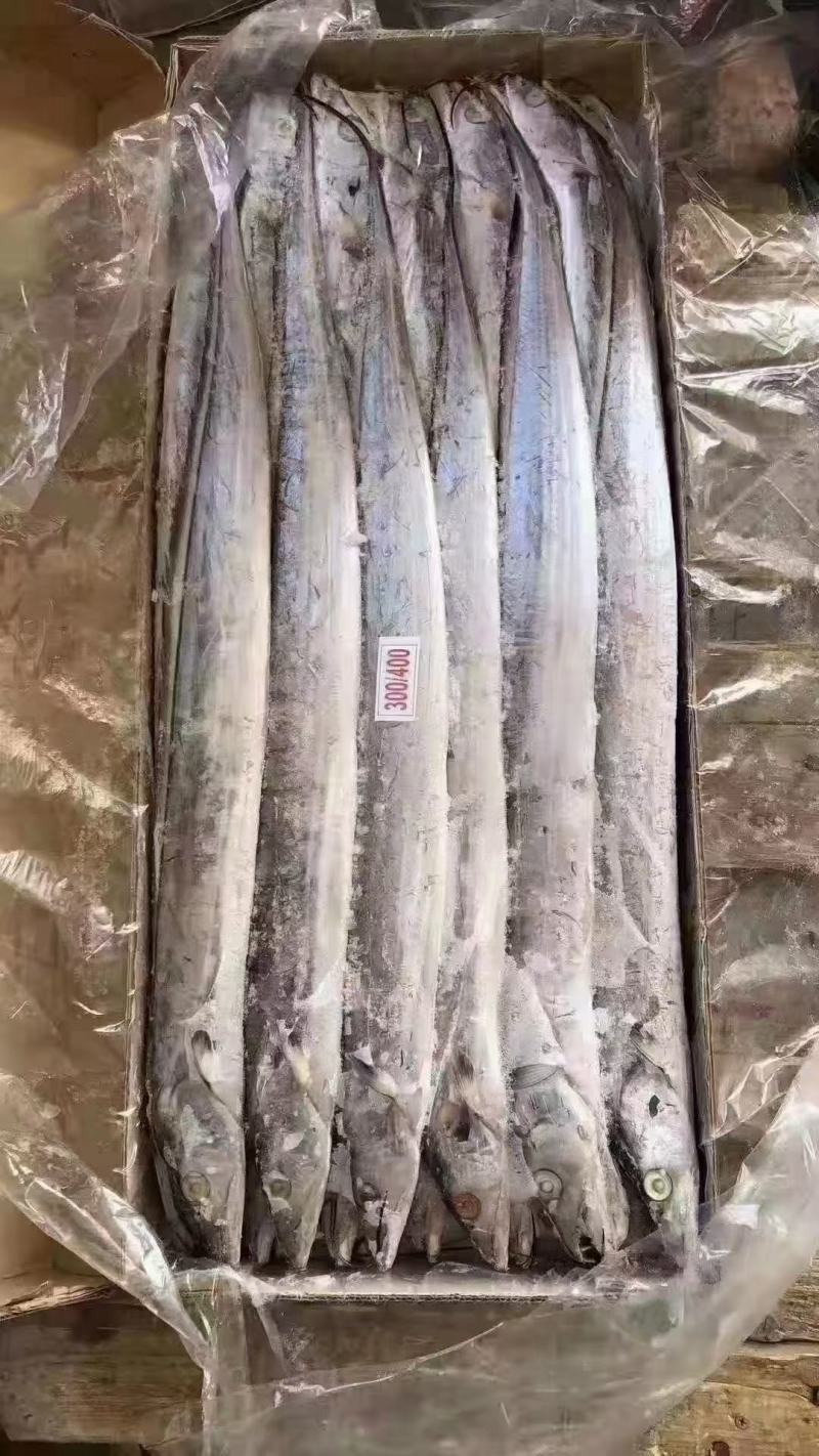 带鱼