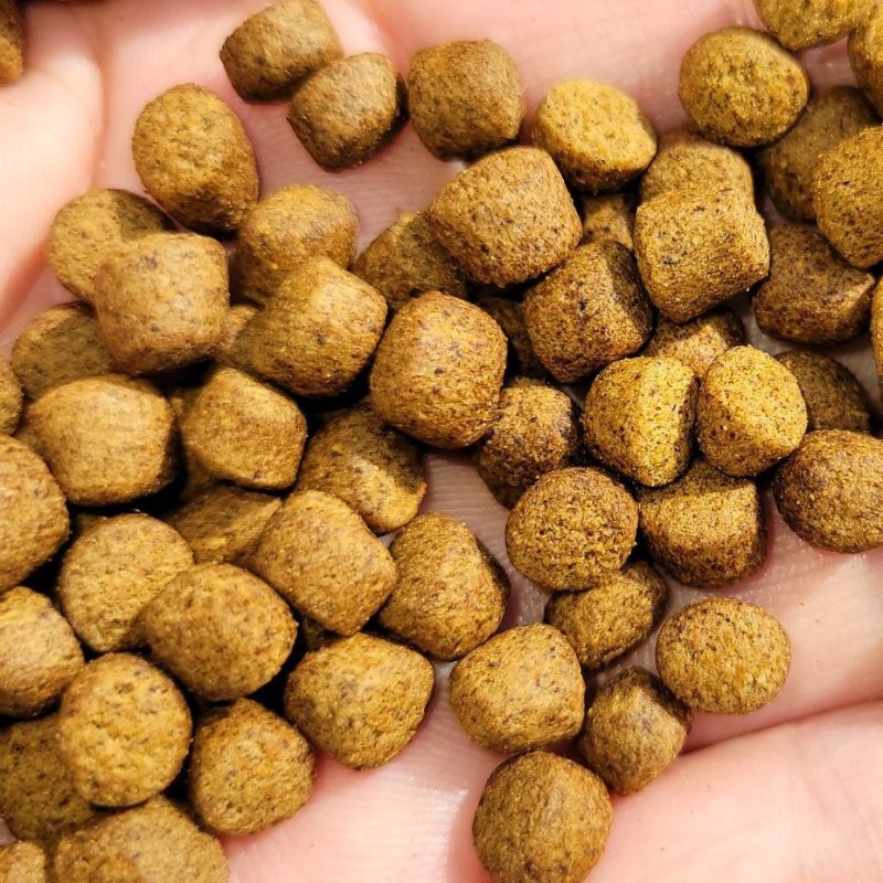 30蛋白1.5赖氨高档罗非料