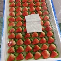 邳州市港上镇妙香草莓口感好质量保证全国发货可视频