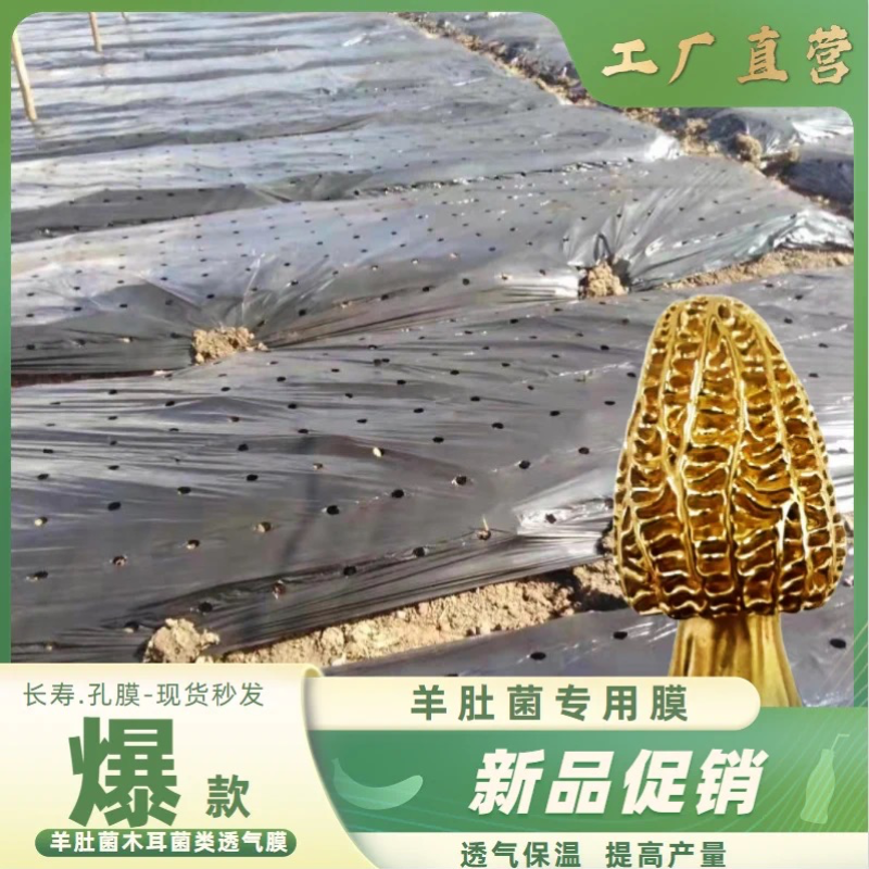 羊肚菌专用黑色打孔地膜，保湿除草