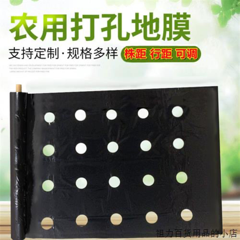羊肚菌专用黑色打孔地膜，保湿除草