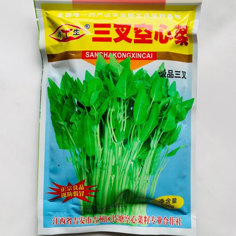 忠蔬正宗三叉空心菜种子一籽三叉空心菜旱地水地皆可种植