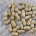 花生天府三，冀油四，鲁花三，小日本，高油酸