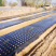 黑色打孔地膜，农用蔬菜药材专用，规格可定制