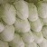 【白菜】夏阳白菜代发全国量大从优可视频看货欢迎订购