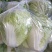 【白菜】夏阳白菜代发全国量大从优可视频看货欢迎订购