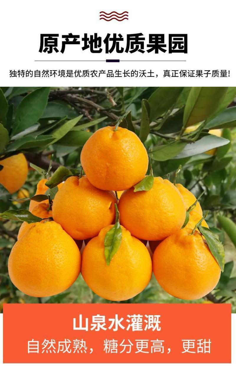 正宗四川春见耙耙柑9斤装对接各电商平台一件代发包邮包售后