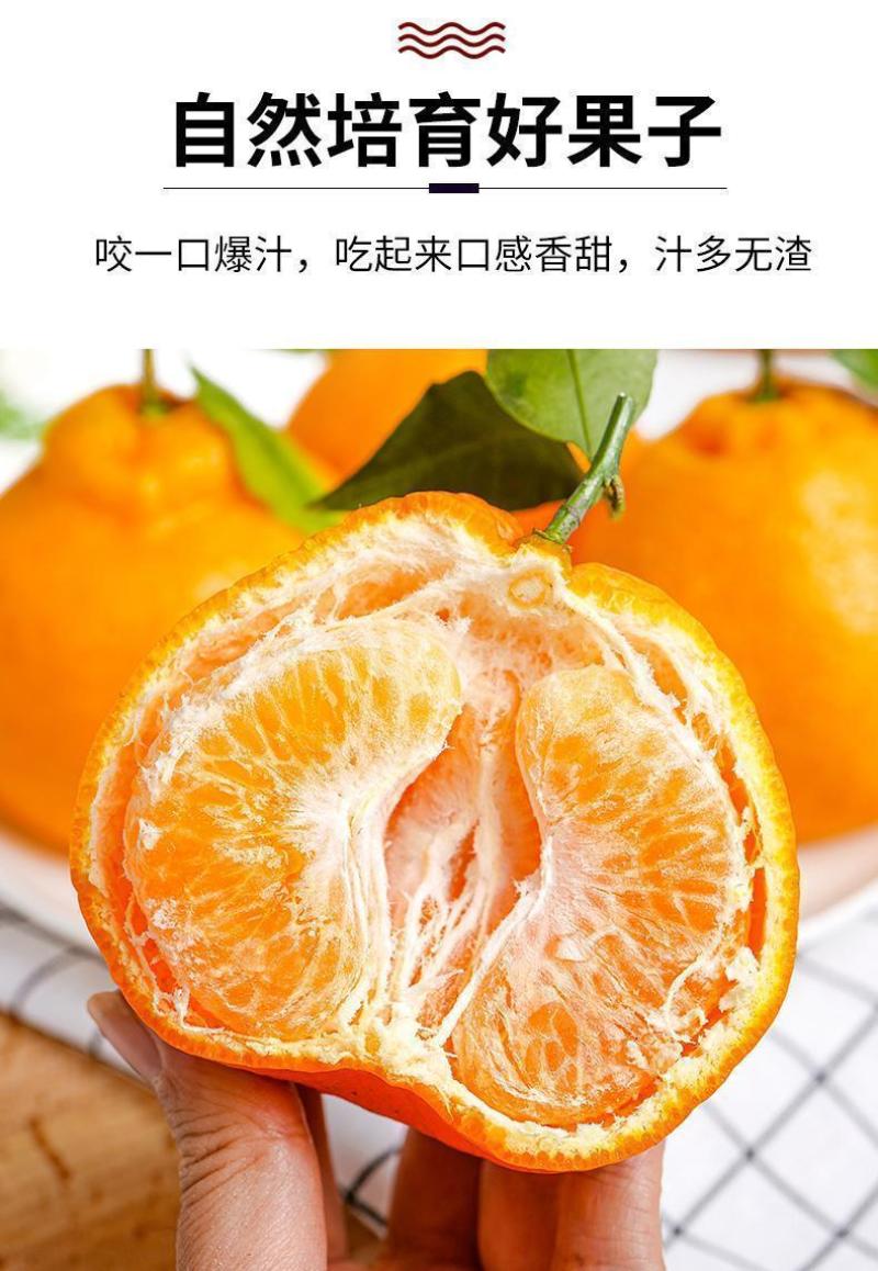 正宗四川春见耙耙柑9斤装对接各电商平台一件代发包邮包售后
