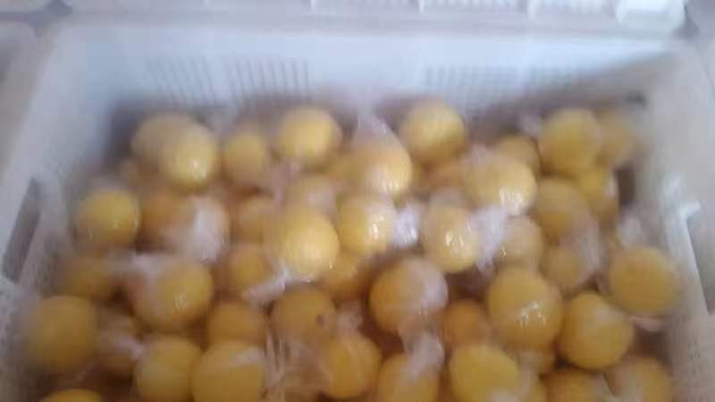 尤力克柠檬原汁与其他食材搭配示意图