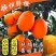 秭归长虹脐橙果大皮薄纯甜化渣整车代收代发品质保证坏果包赔
