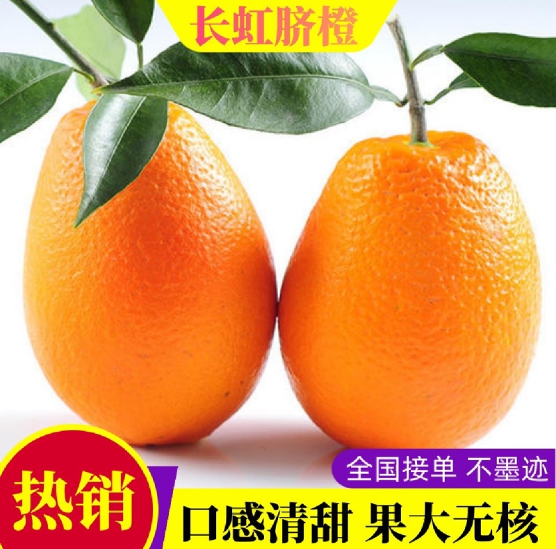 秭归长虹脐橙果大皮薄纯甜化渣整车代收代发品质保证坏果包赔