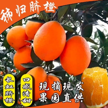 秭归长虹脐橙果大皮薄纯甜化渣整车代收代发品质保证坏果包赔