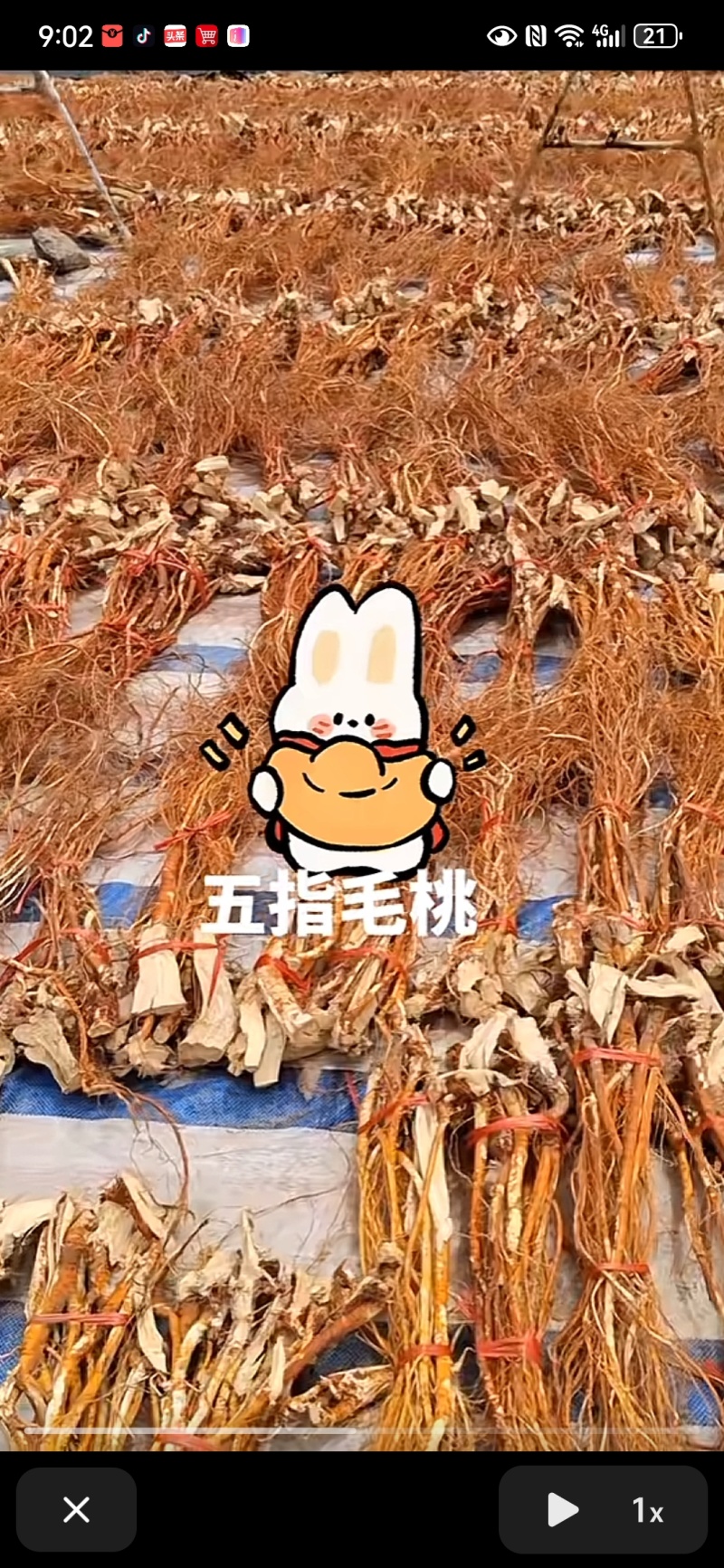 中药材产地直销