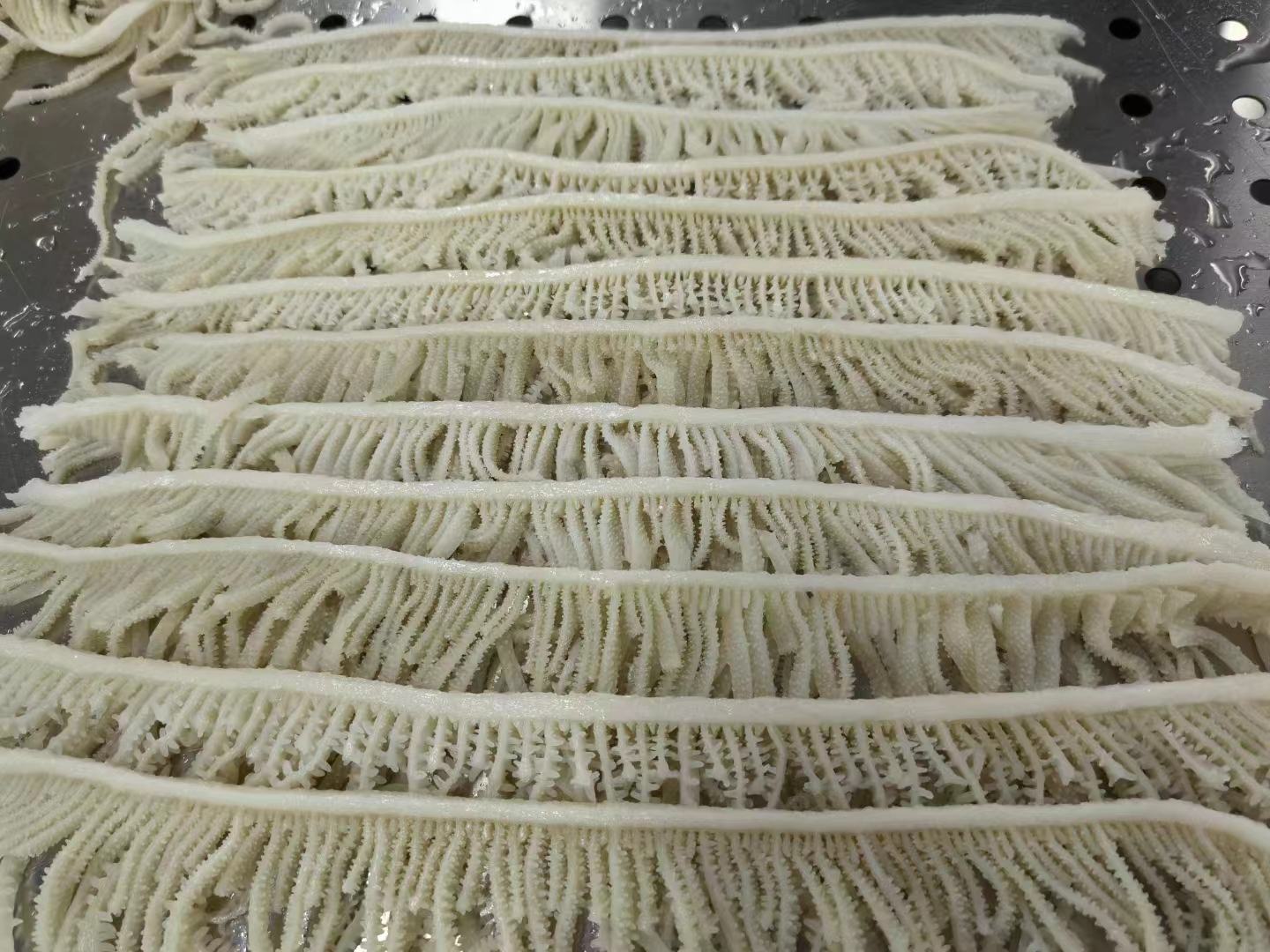 展示牛蒡茶、牛蒡脆片、牛蒡酱等多种深加工产品,体现其高附加值和多样化应用 牛蒡深加工产品展示图
