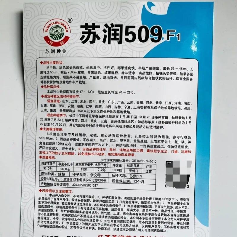 苏润509辣椒种子早中熟长条椒一代杂交高产优质良种抗病