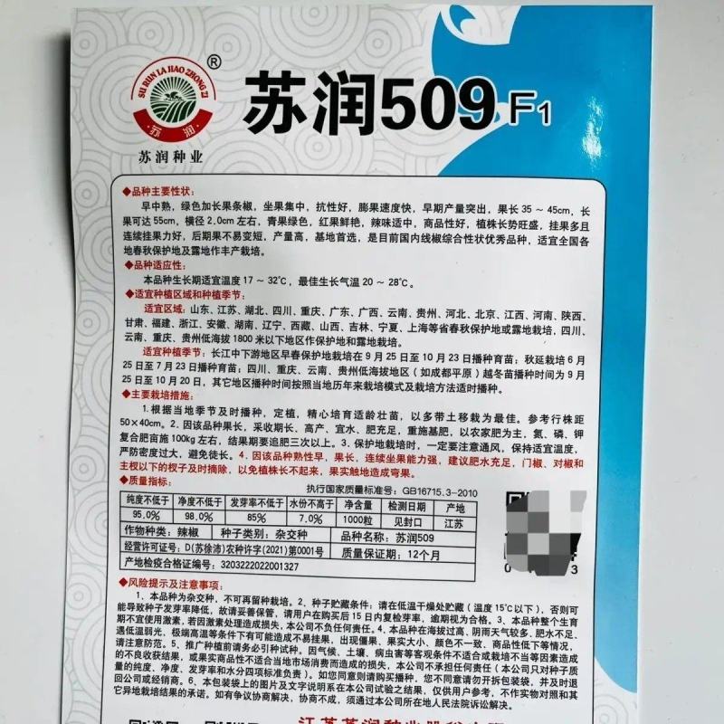 苏润509辣椒种子早中熟长条椒一代杂交高产优质良种抗病