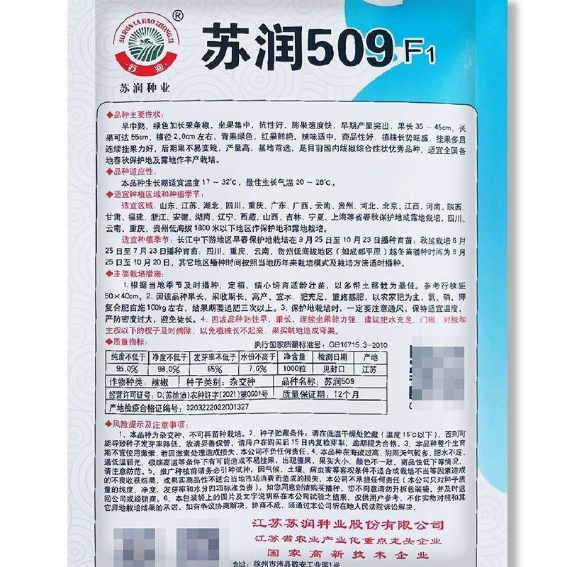 苏润509辣椒种子早中熟长条椒一代杂交高产优质良种抗病