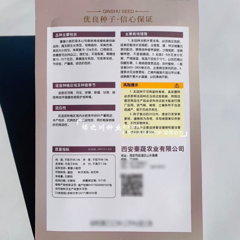 苗场专用小番茄种子秦番小皇后樱桃番茄种子糖度高水果番茄种