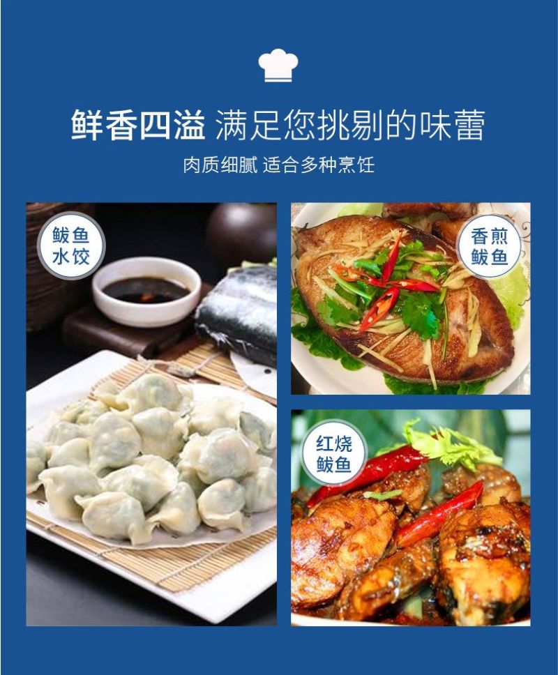 新鲜捕捞速冻马鲛鱼鲅鱼海鱼批发