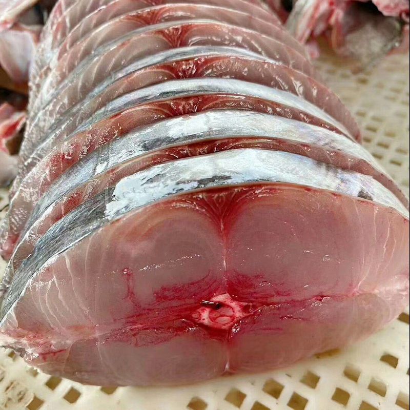 新鲜捕捞速冻马鲛鱼鲅鱼海鱼批发
