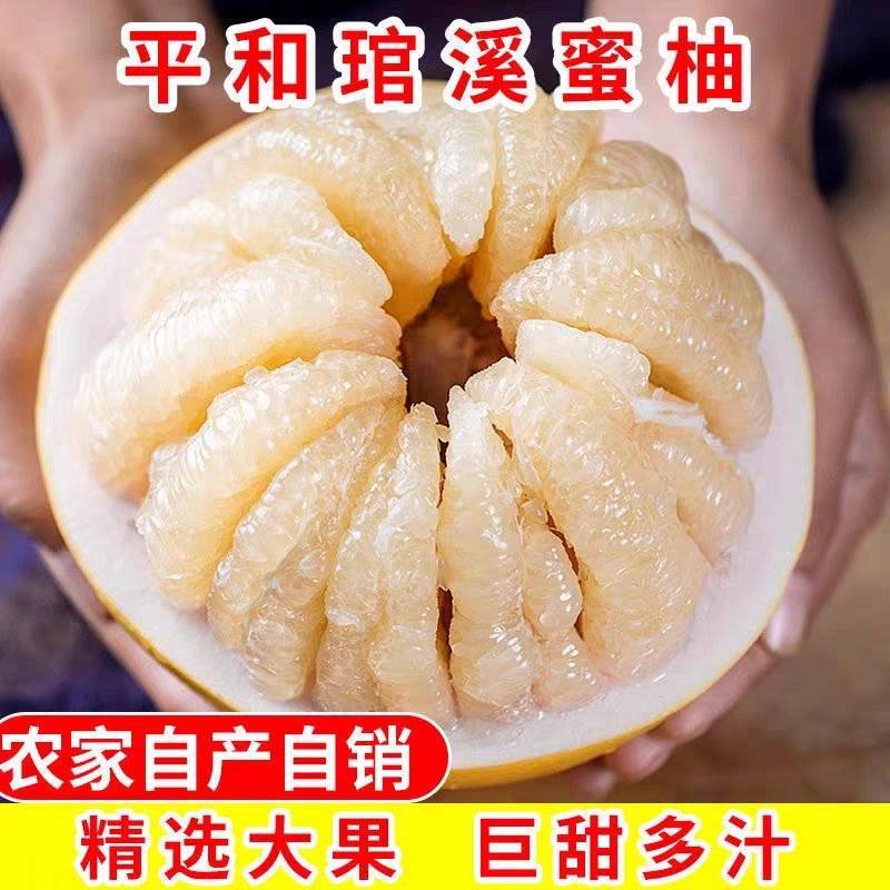 平和琯溪蜜柚2斤以上口感甜价格美丽欢迎订购