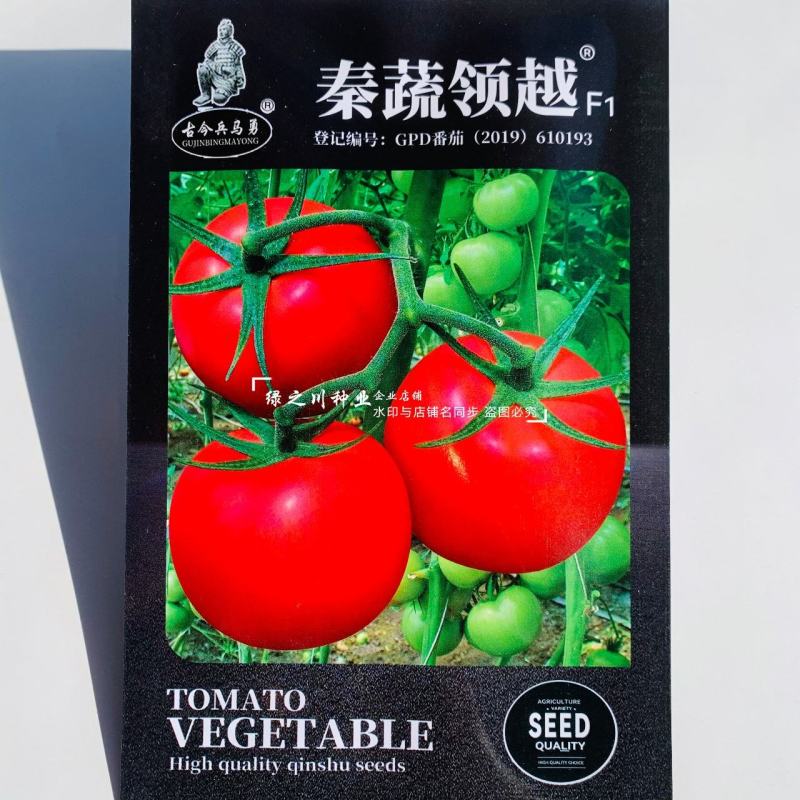 秦蔬领越一代杂交粉果西红柿种子耐低温耐热好硬果番茄种子