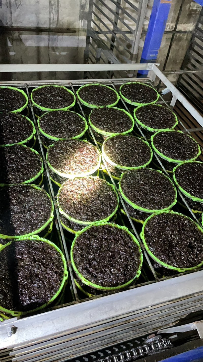 买好紫菜的看过来！霞浦紫菜，半自动二水三水紫菜