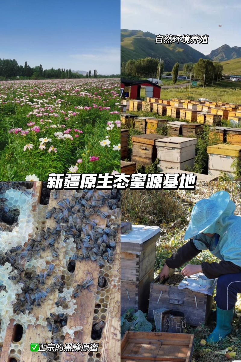 纯纯的黑蜂山花结晶蜜，一瓶500克，保纯保真，假一赔十