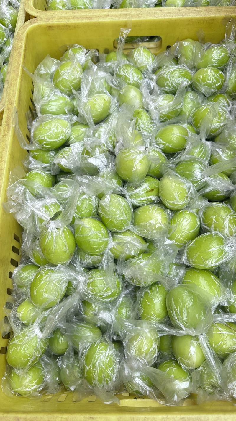 广西平南县青枣，蜜丝枣，产地直销，品质保证，1月份上市