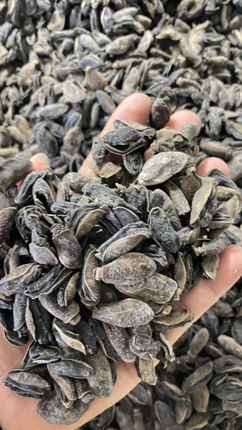 土鲍鱼干，泥龟，蚂蟥，海虫子，黑子