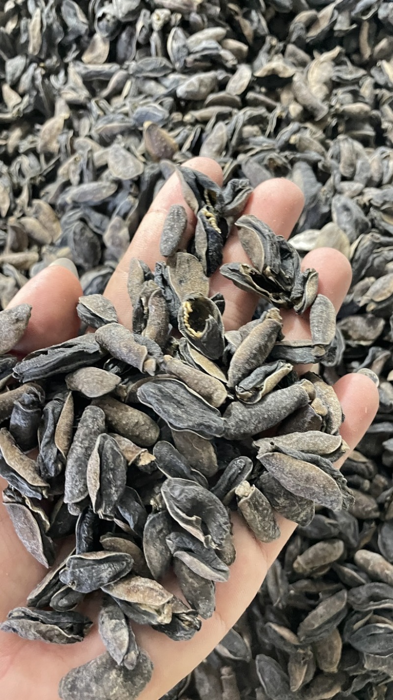 土鲍鱼干，泥龟，蚂蟥，海虫子，黑子