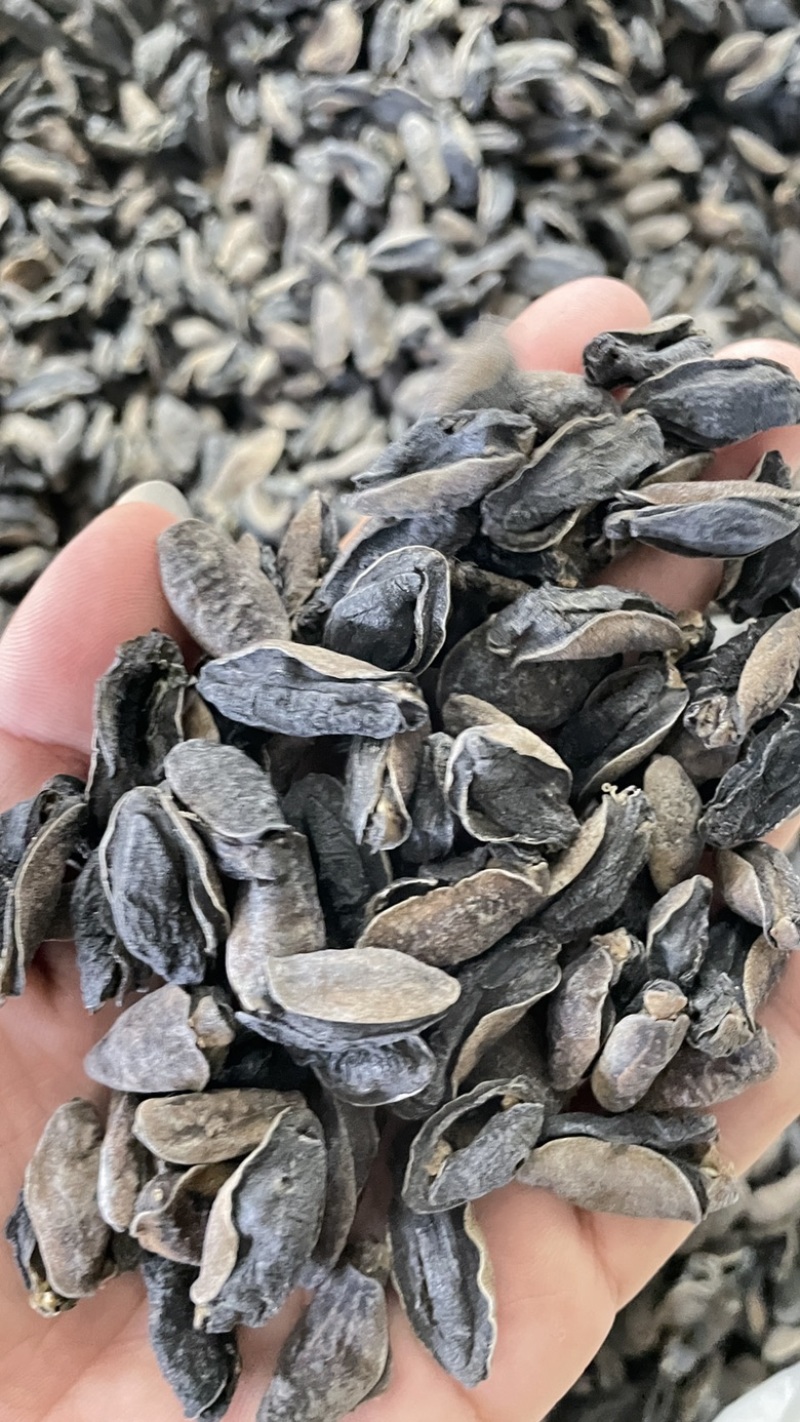 土鲍鱼干，泥龟，蚂蟥，海虫子，黑子