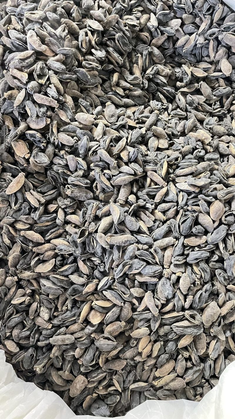 土鲍鱼干，泥龟，蚂蟥，海虫子，黑子