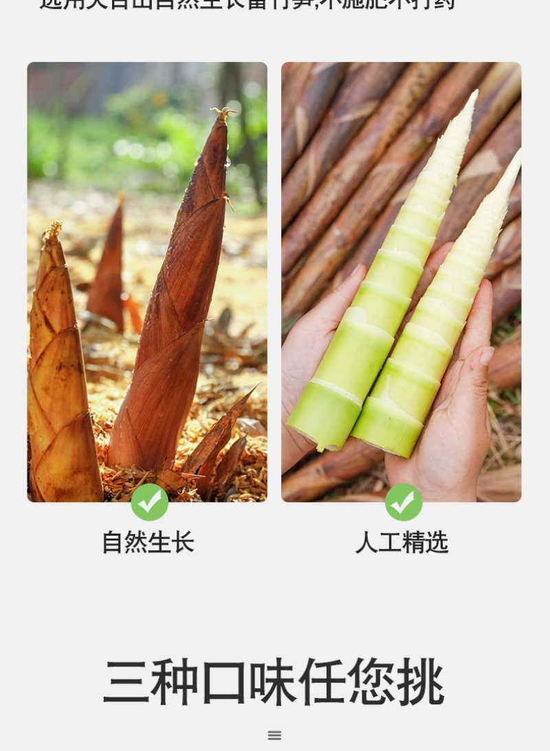 浙江丽水开袋即食手剥笋预制菜热菜竹海手剥笋