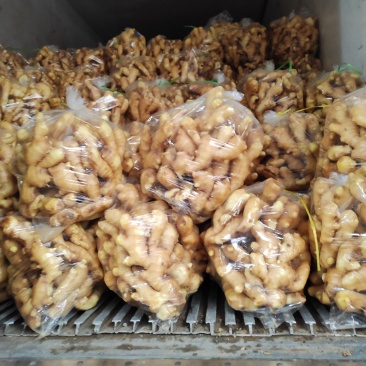 优质水洗大黄姜价格便宜质量好，欢迎新老客户前来洽谈