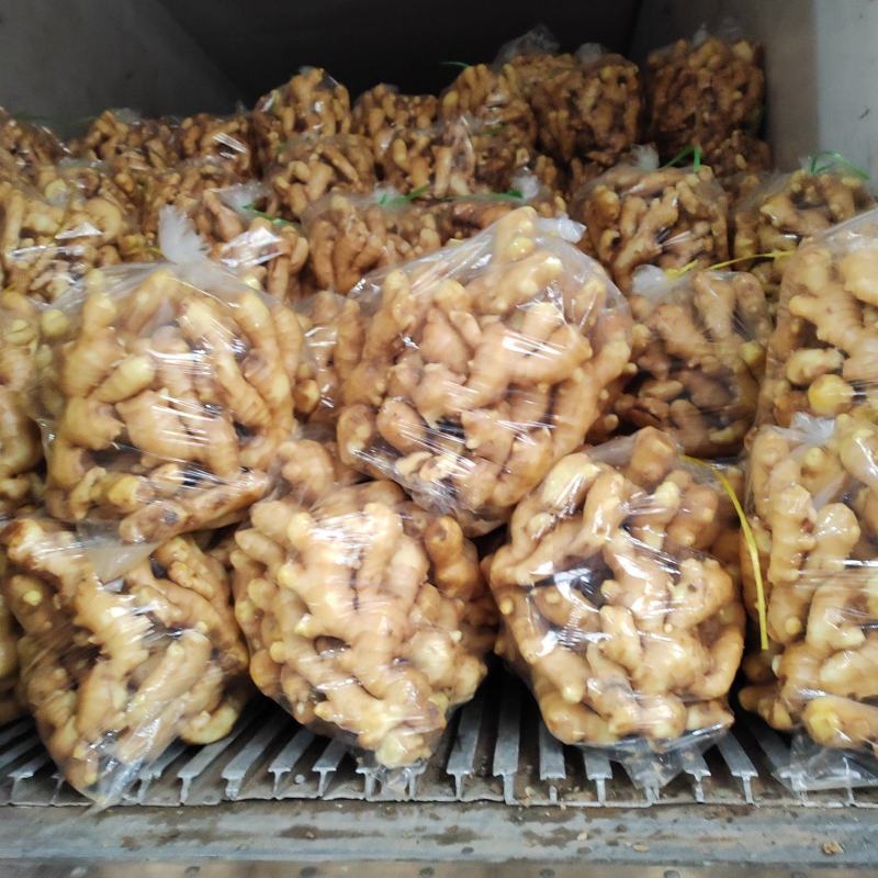 优质水洗大黄姜价格便宜质量好，欢迎新老客户前来洽谈