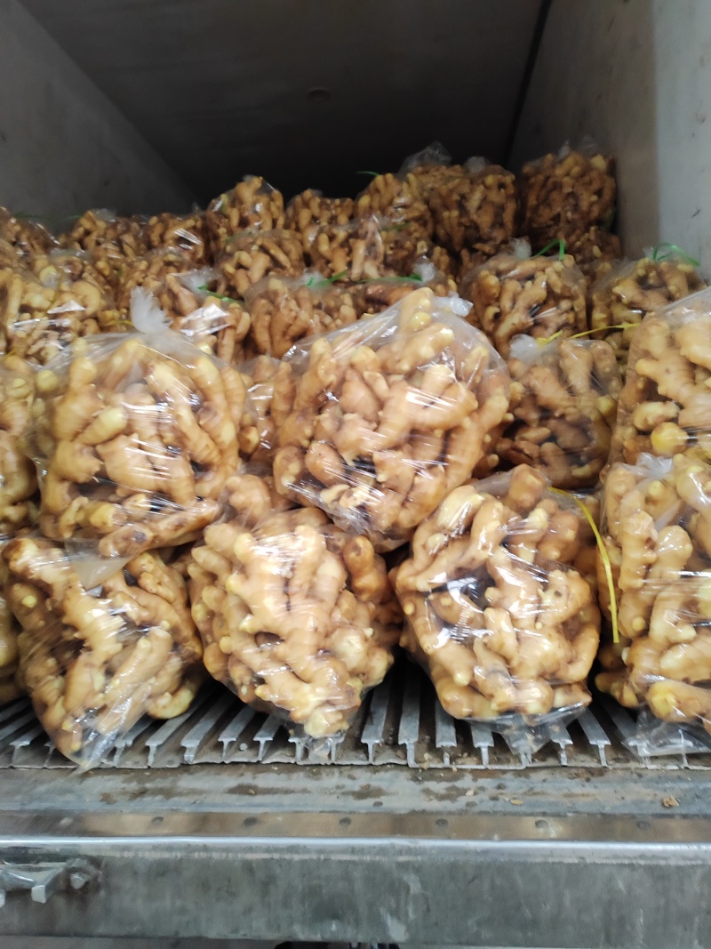 优质水洗大黄姜价格便宜质量好，欢迎新老客户前来洽谈