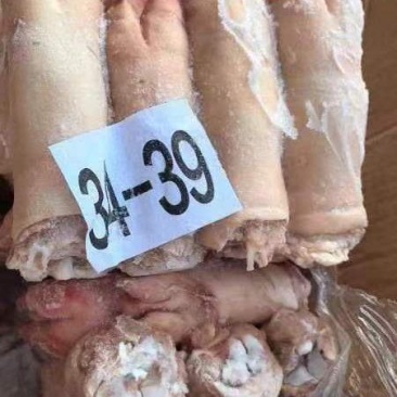 小猪蹄