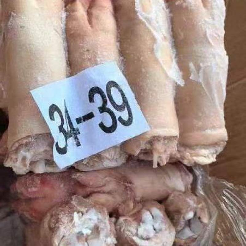 小猪蹄