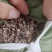 苦荞麦壳可做枕头汽车坐垫，货源充足，可以视频看货