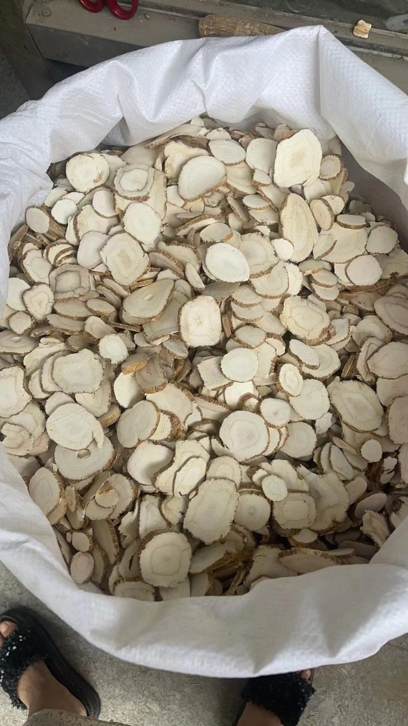 当年新货过筛白芷片干净无杂常年有货量大从优