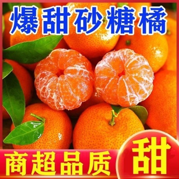广西精品砂糖桔，支持一件代发，价格便宜，品质保证，全国发货