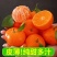 广西精品砂糖桔，支持一件代发，价格便宜，品质保证，全国发货