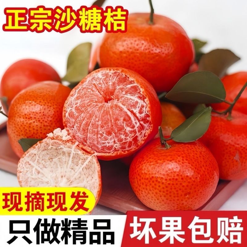 广西精品砂糖桔，支持一件代发，价格便宜，品质保证，全国发货