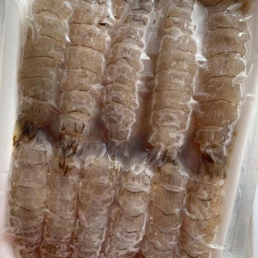 渤海湾活剥鲜冻生皮皮虾肉虾爬肉