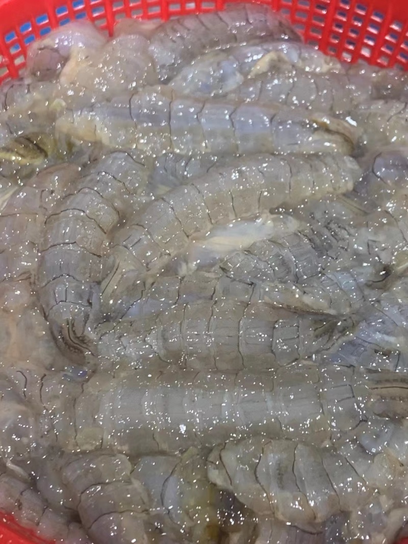渤海湾活剥鲜冻生皮皮虾肉虾爬肉
