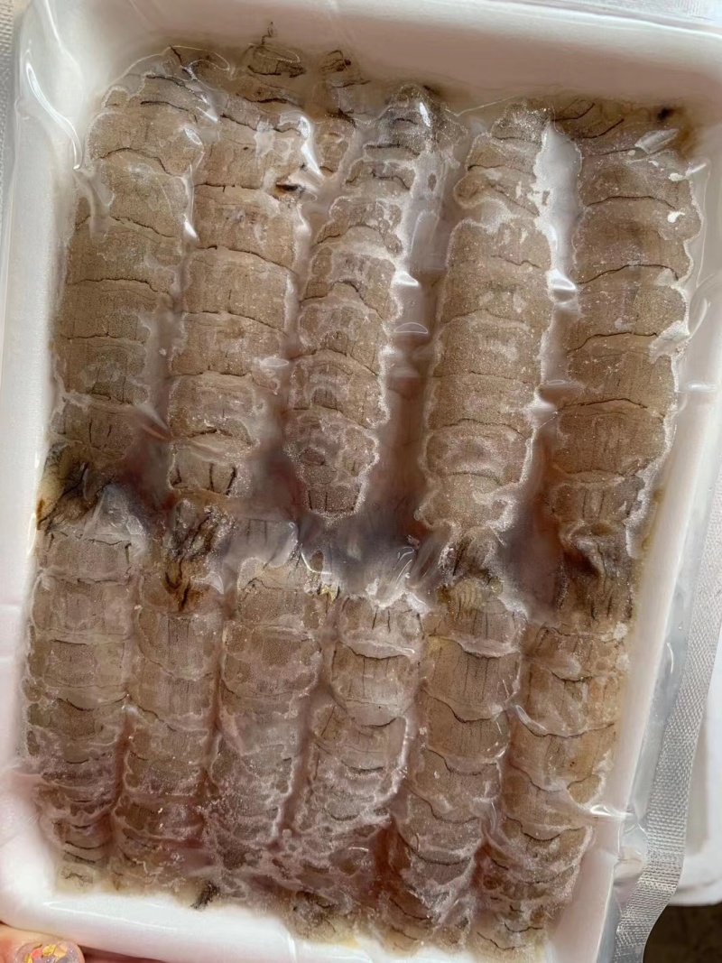 渤海湾活剥鲜冻生皮皮虾肉虾爬肉