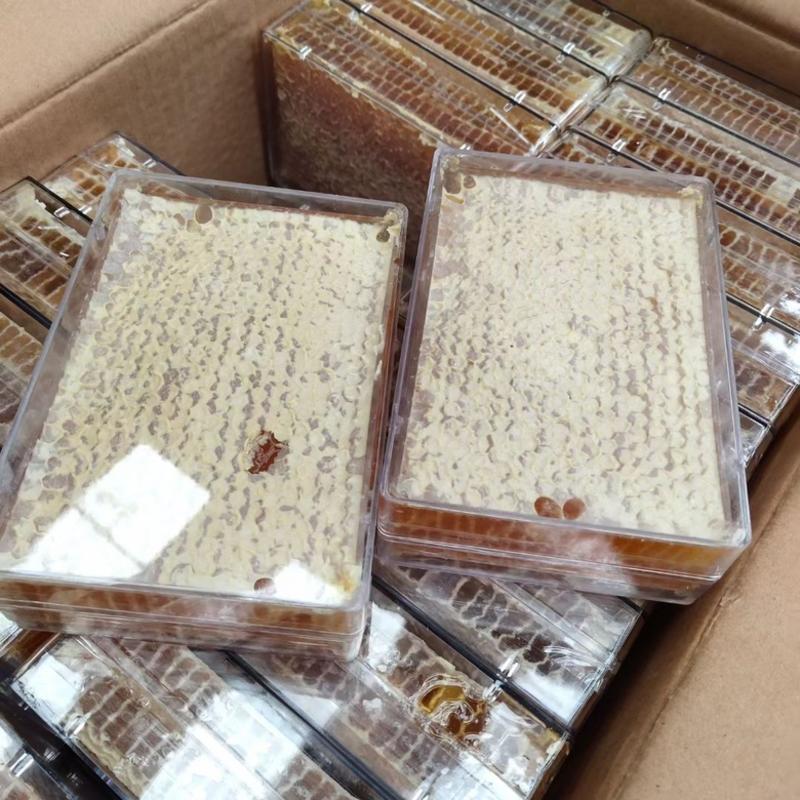 蜂巢蜜蜂蜜产地发货蜂厂价格出