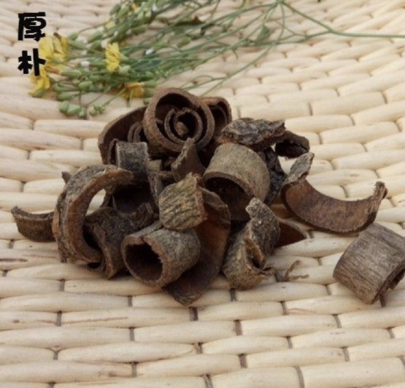 姜厚朴产地四川振兴药材批发一手货源