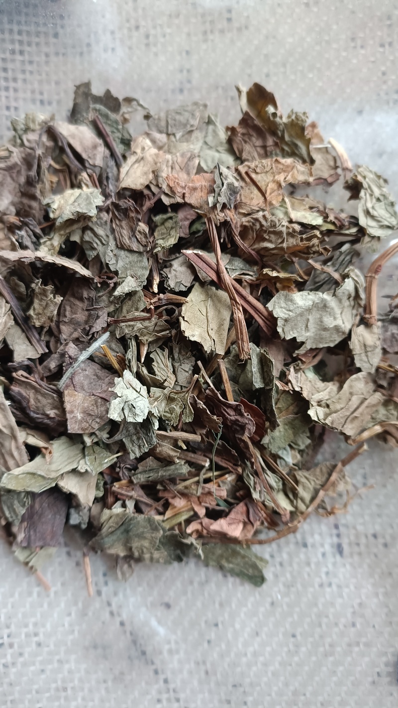 鱼腥草，过筛吸尘，今年新货，欢迎选购，支持在线下单